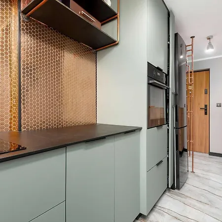 Mosaic In Center With Air Conditioning And Balcony By Renters Rzeszów